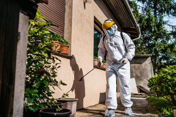 Insect Control in Shenorock, NY