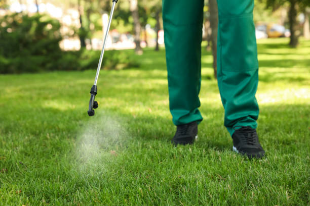 Best Insect Control  in Shenorock, NY