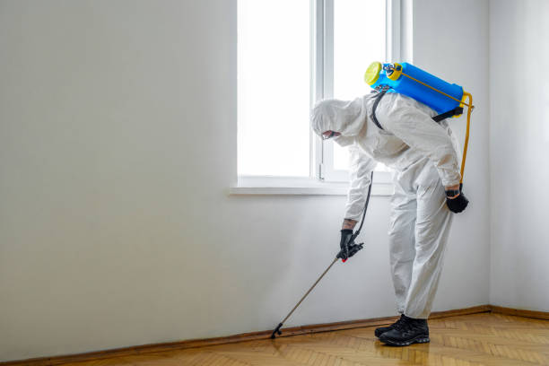 Best Pest Removal Services  in Shenorock, NY