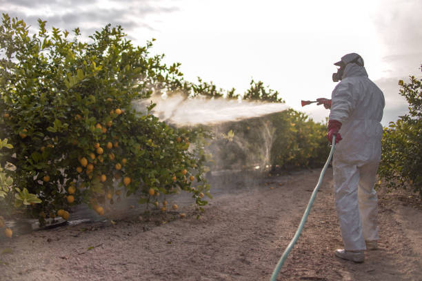 Shenorock, NY Pest Control Pros