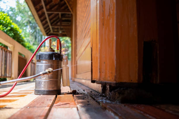 Best Mosquito Control Services  in Shenorock, NY