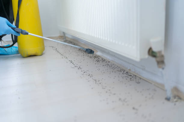 Shenorock, NY Pest Control Company