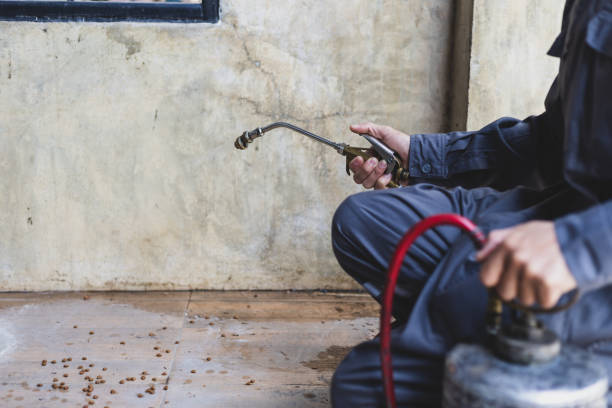 Best Exterminator Services  in Shenorock, NY